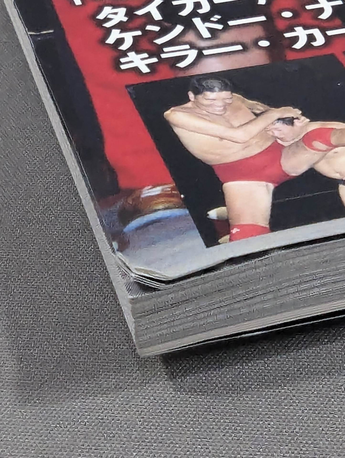 Our Pro Wrestling  Vol.10 12 People Who Know "All of Japan" Reveal "The Truth of the Royal Road"