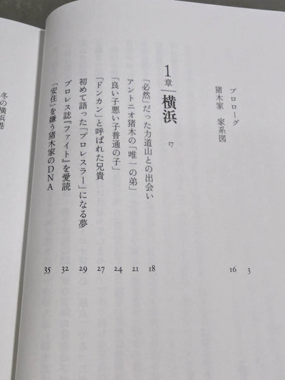 兄 私だけが知るアントニオ猪木