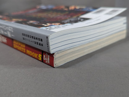 [2-Book Set] Completely Accurate Akira Maeda Reader & Paper Akira Maeda