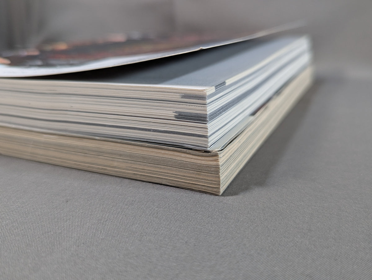 [2-Book Set] Completely Accurate Akira Maeda Reader & Paper Akira Maeda