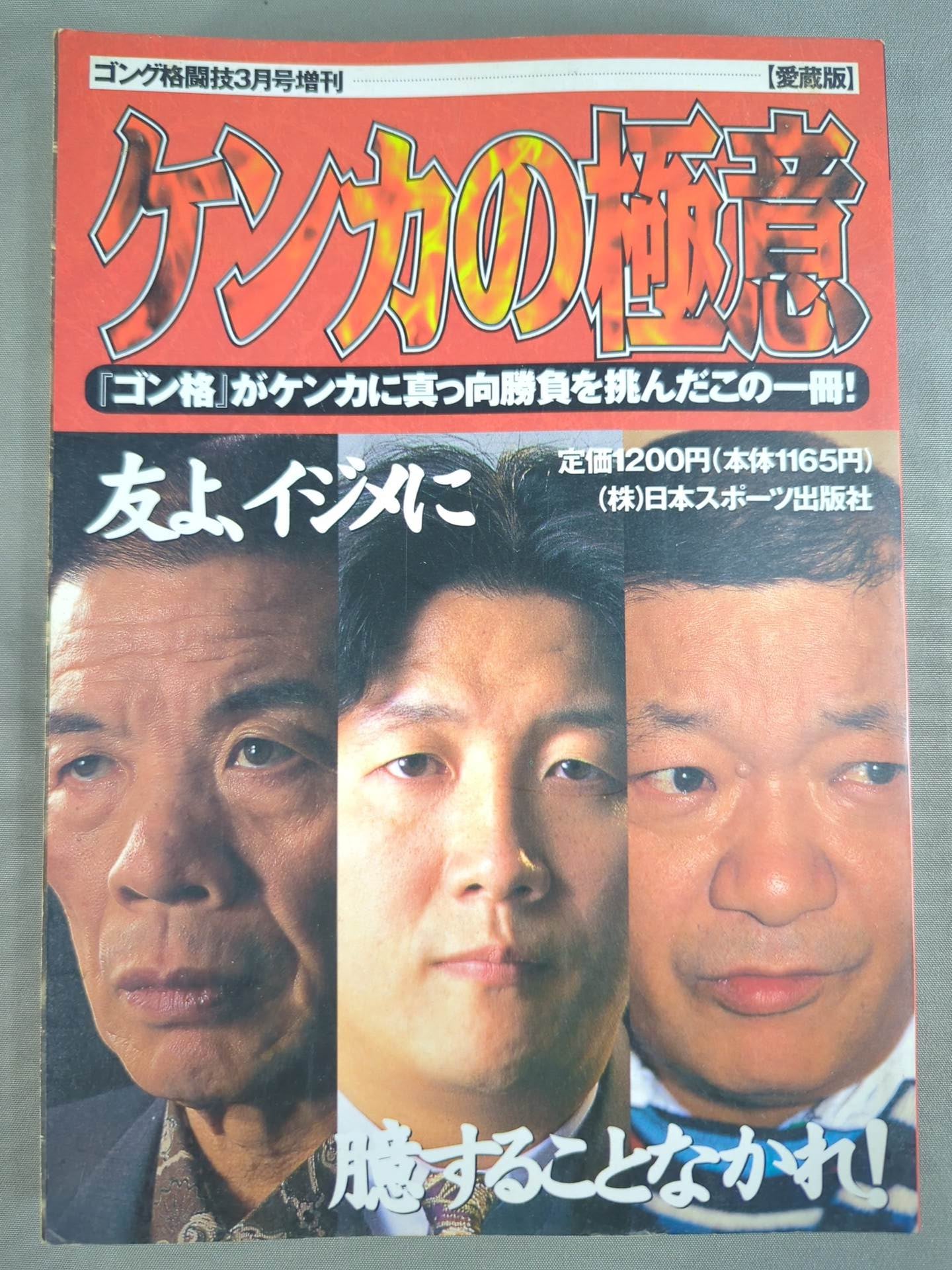 ゴング格闘技増刊 ケンカの極意
