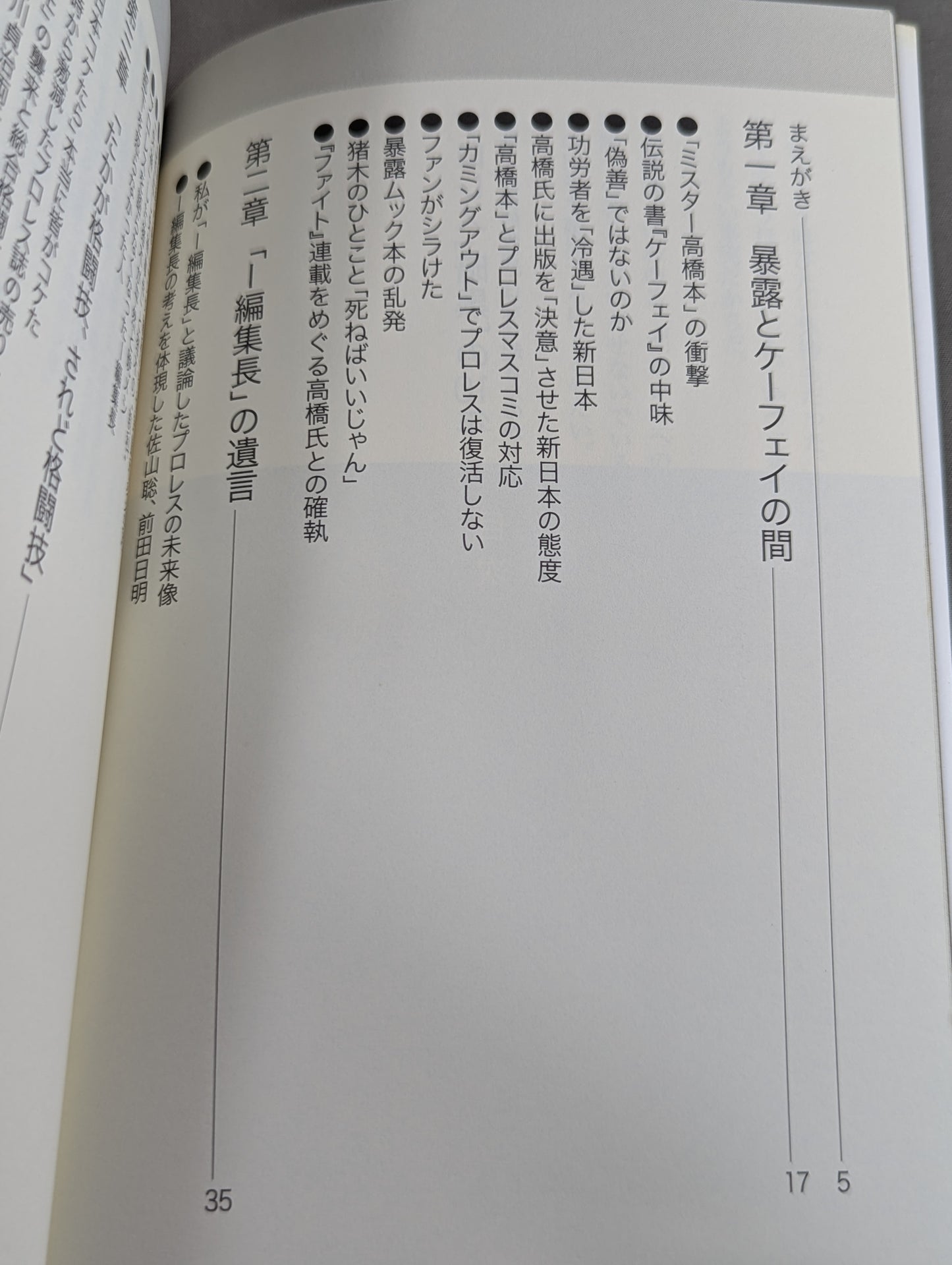 プロレス ｢暗黒｣の10年