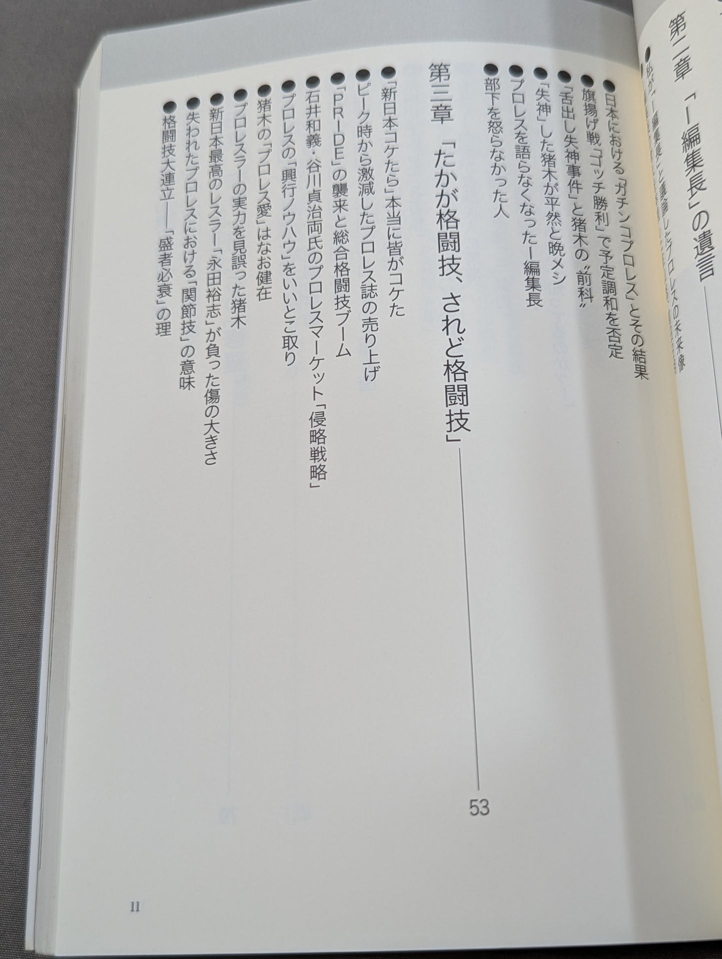 プロレス ｢暗黒｣の10年