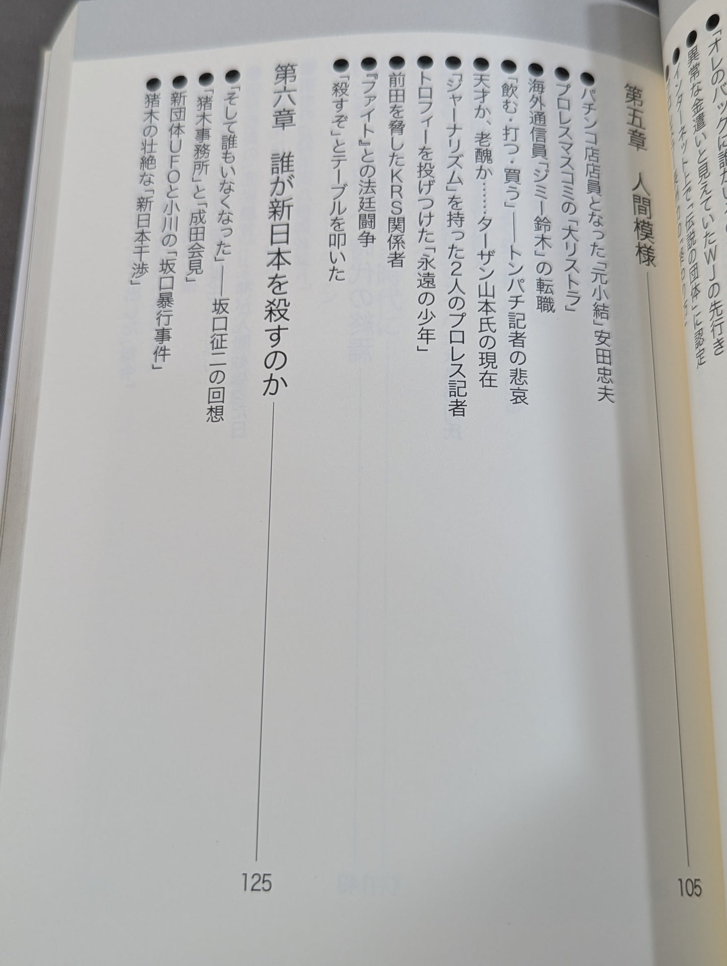プロレス ｢暗黒｣の10年