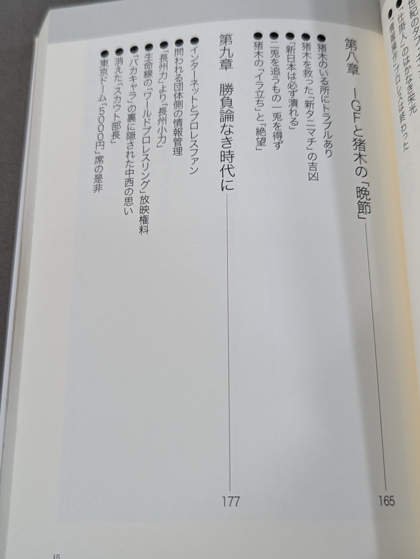 プロレス ｢暗黒｣の10年