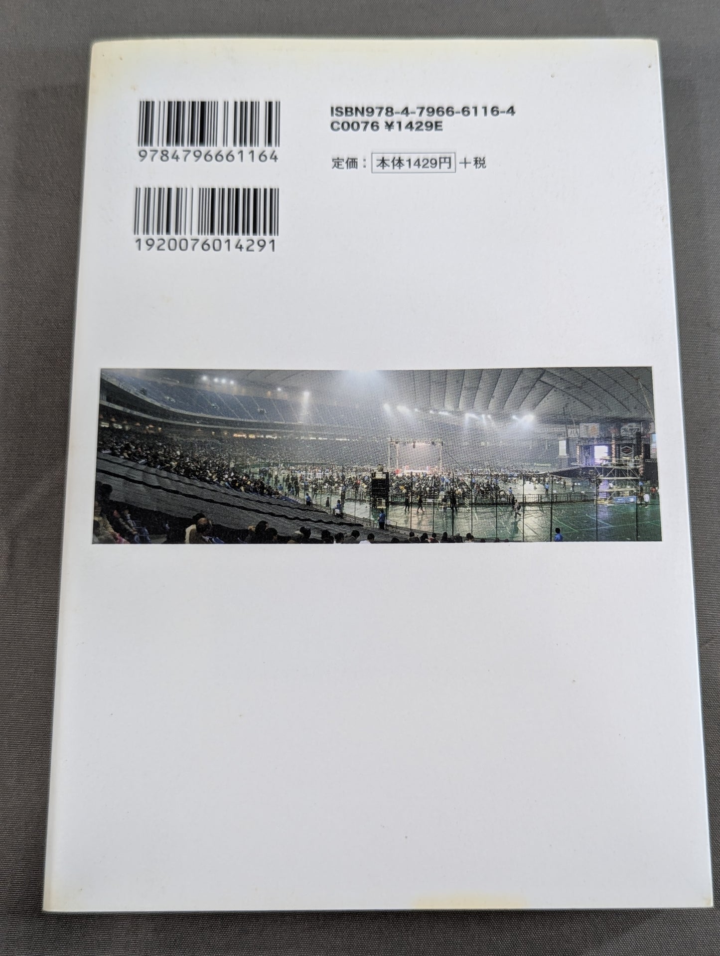 プロレス ｢暗黒｣の10年