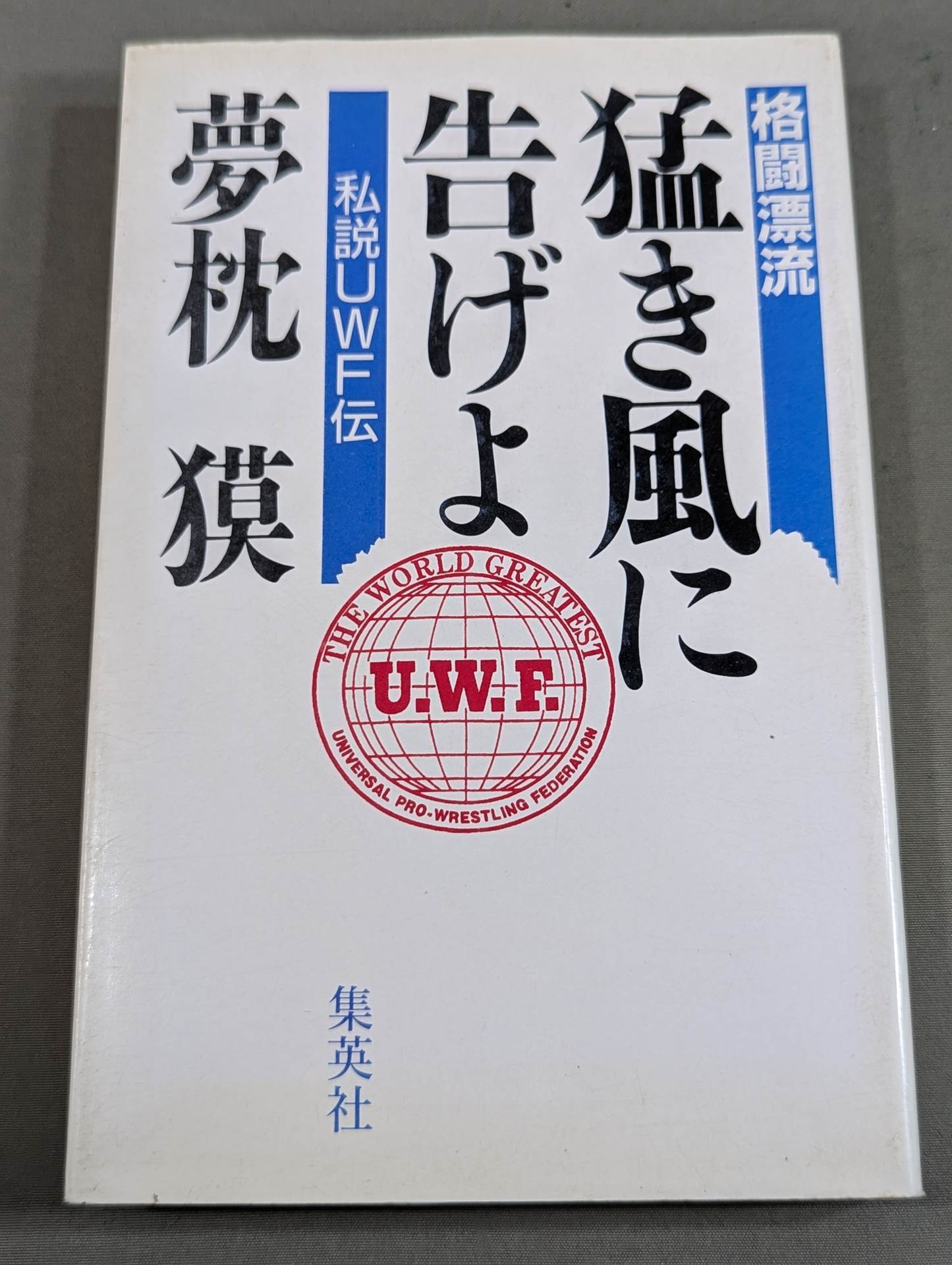 格闘漂流・猛き風に告げよ －私設UWF伝－