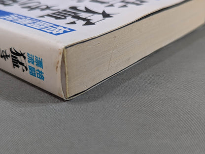 格闘漂流・猛き風に告げよ －私設UWF伝－