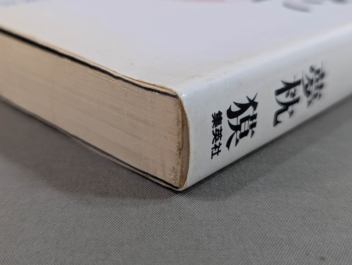 格闘漂流・猛き風に告げよ －私設UWF伝－