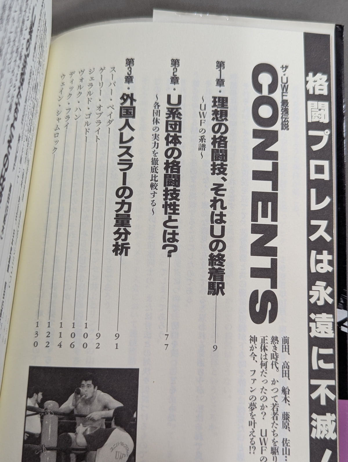ザ・UWF最強伝説