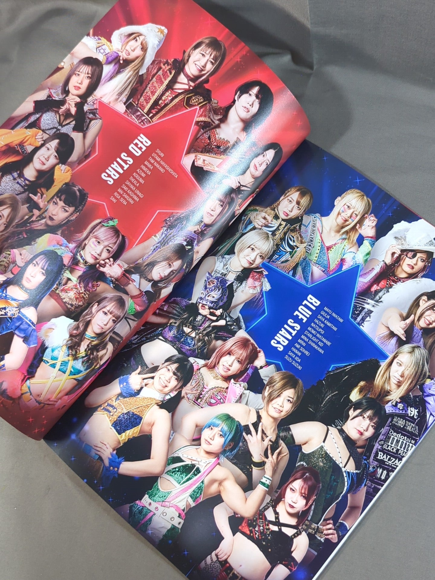 STARDOM OFFICIAL GUIDE BOOK Vol.143