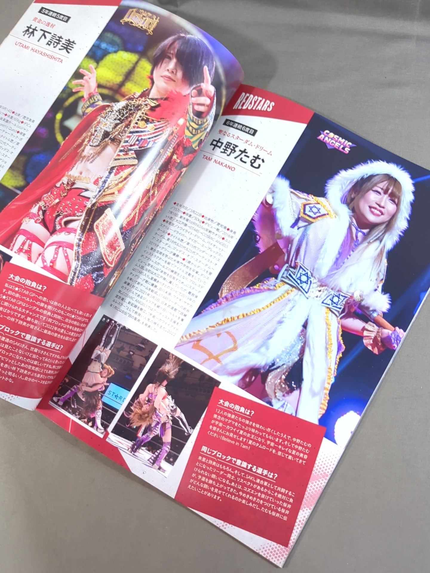 STARDOM OFFICIAL GUIDE BOOK Vol.143