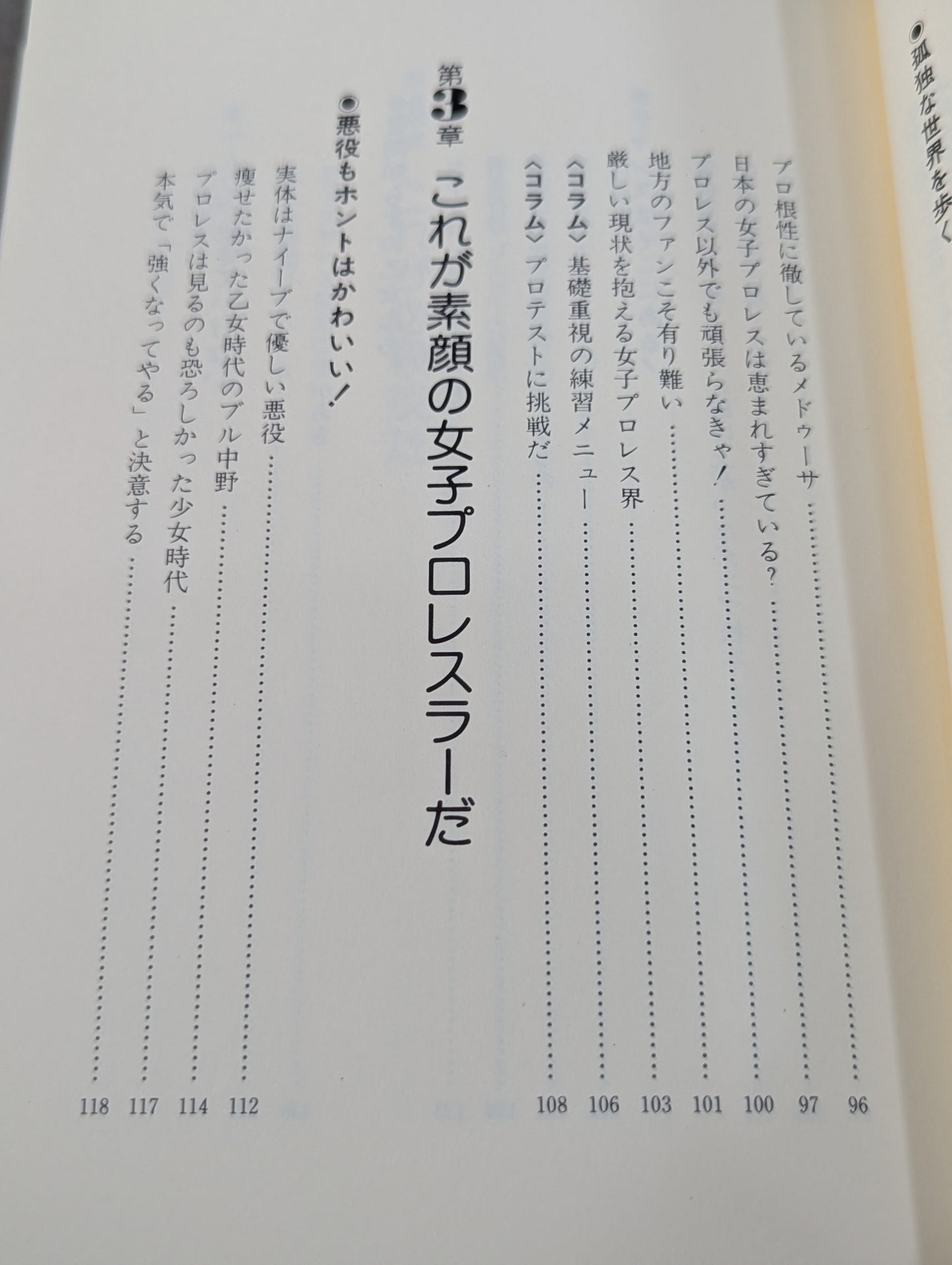 I found my youth! ! Love Women's Pro Wrestling