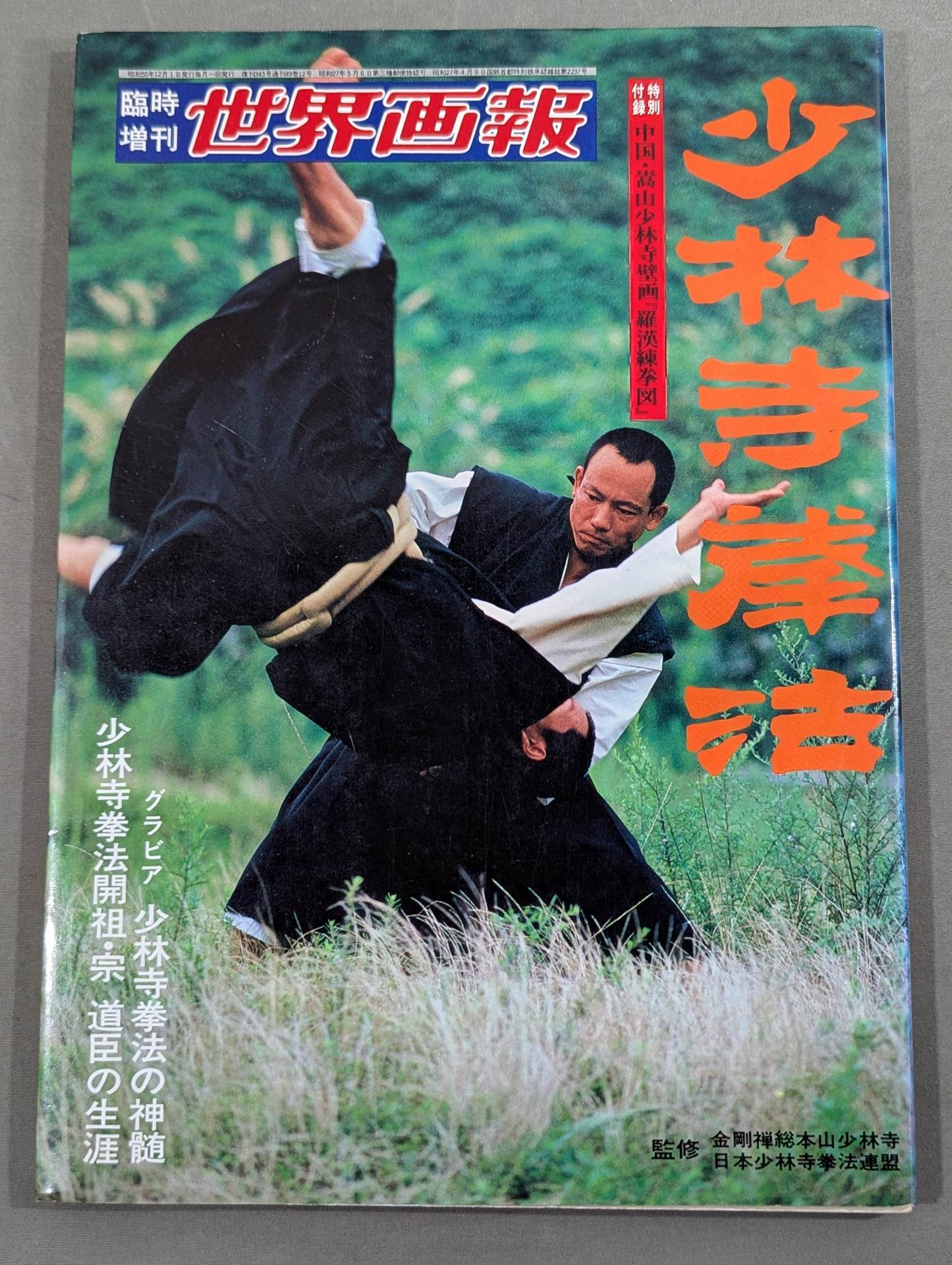 Temporary Supplementary World Pictorial "Shaolin Kenpo"