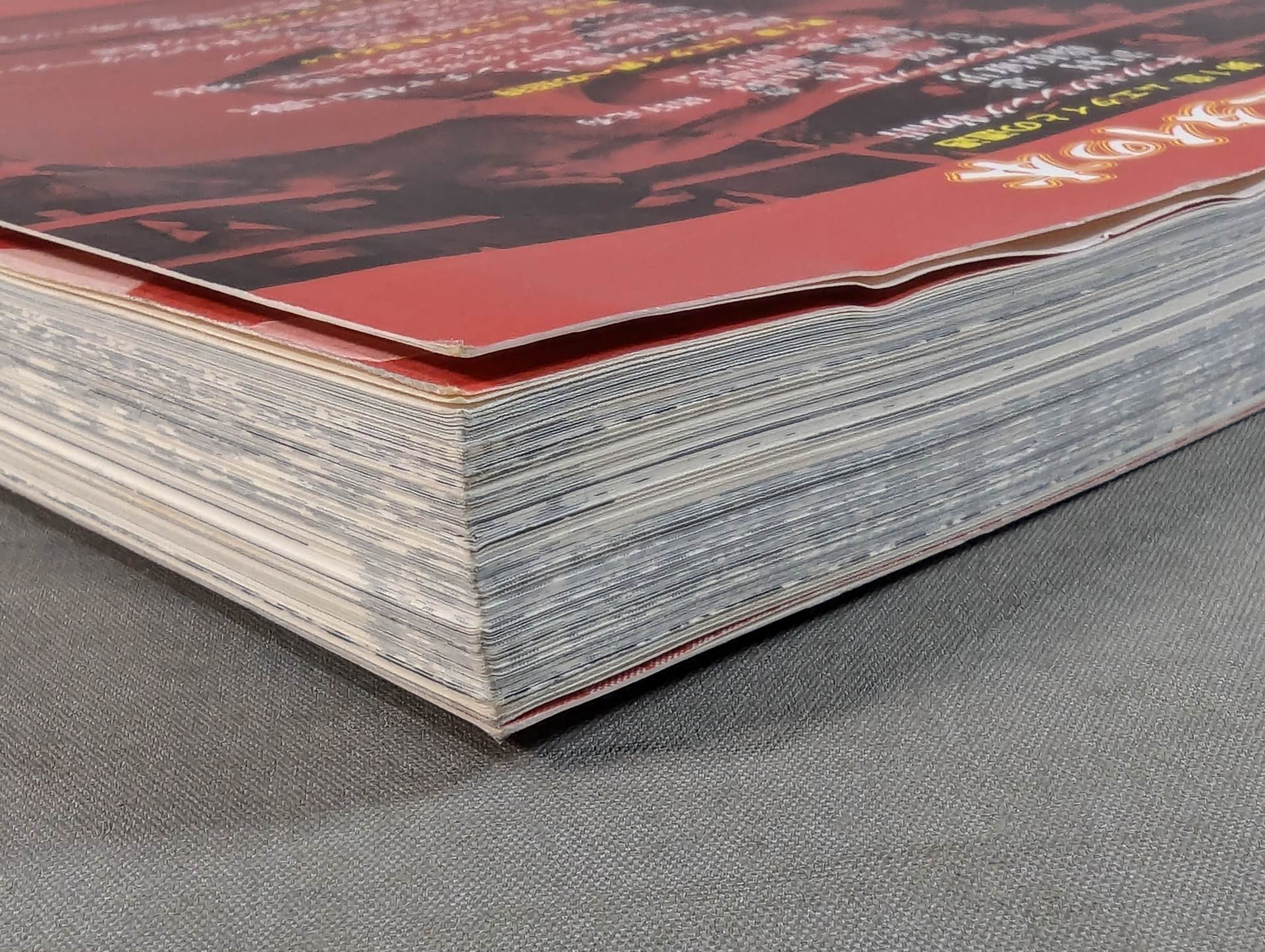 格闘王6 ムエタイの本 / 立ち技最強格闘技・ムエタイ読本 – 闘道館