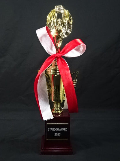 ★STARDOM AWARD 2023★ レプリカ記念トロフィー