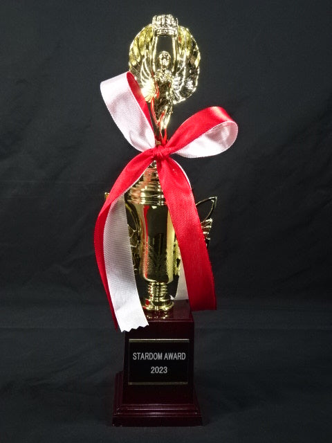 ★STARDOM AWARD 2023★ レプリカ記念トロフィー