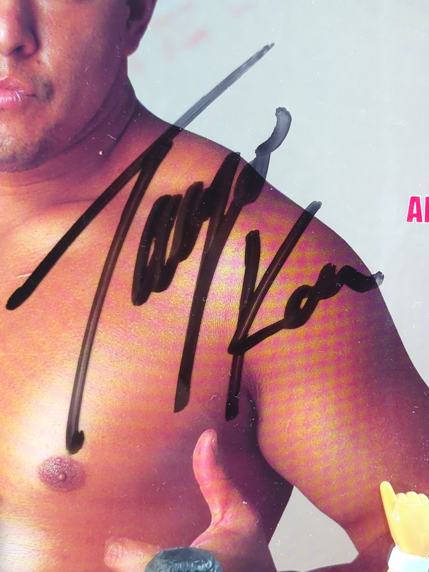 直筆サイン入り】太陽ケア フィギュア うちわ – 闘道館