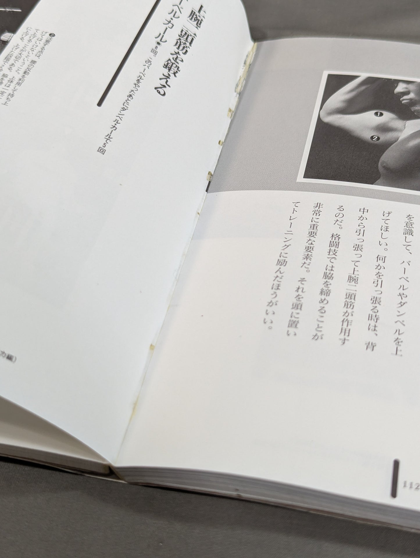 船木誠勝のハイブリッド肉体改造法