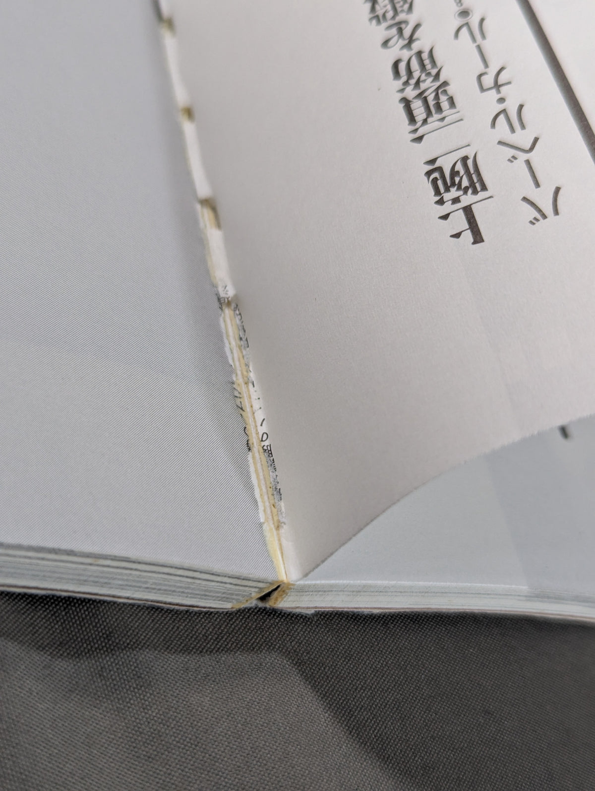 船木誠勝のハイブリッド肉体改造法