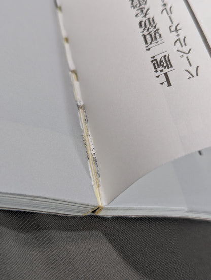 船木誠勝のハイブリッド肉体改造法