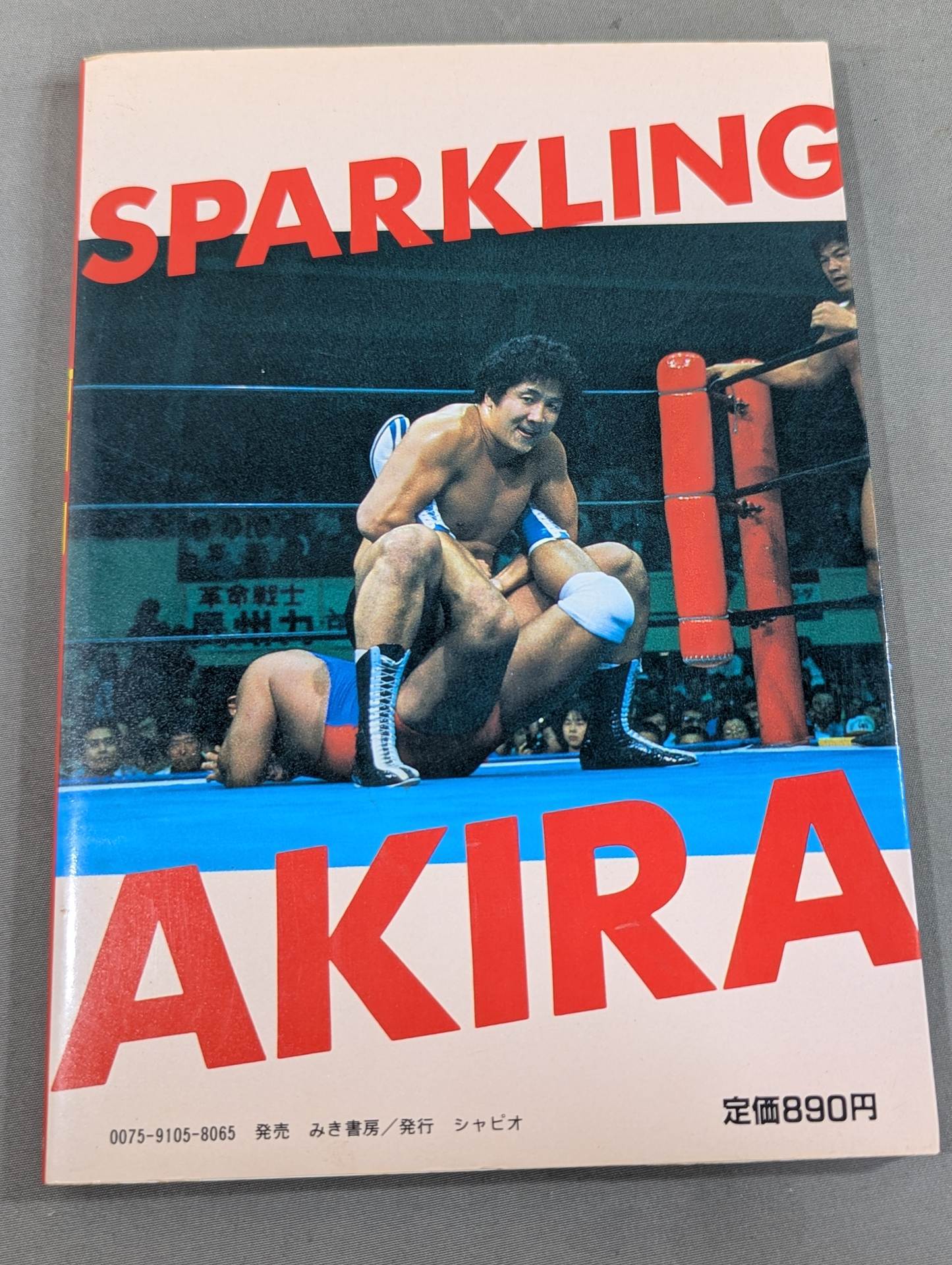Sparkling Flash Akira Maeda I will be the Pro Wrestling King! !