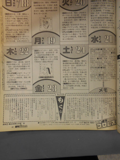 Weekly Pro Wrestling 519