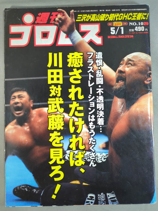 Weekly Pro Wrestling 1029