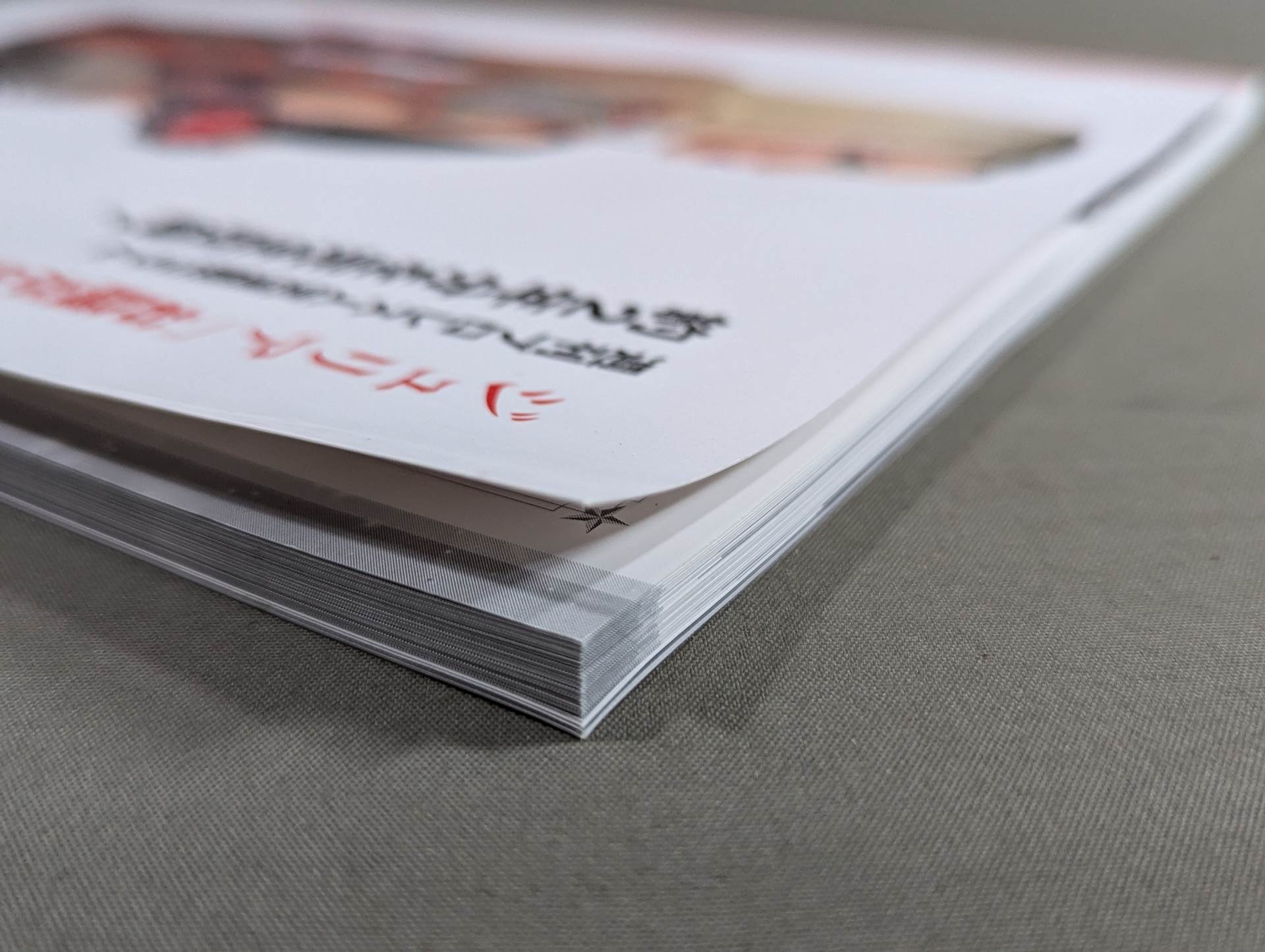 ジュリア（WWE ）お騒がせ症候群【本】 ジュリア（WWE NXT）お騒がせ症候群【本】 ジュリアお騒がせ