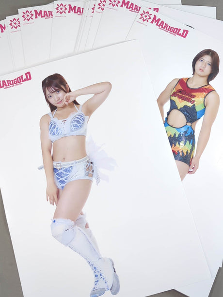 ★ All 18 Complete ★ Marigold Pro-Photo (Costume) Set of 18