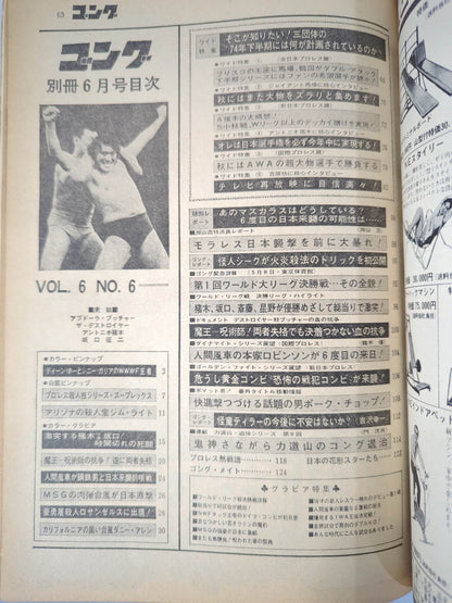別冊ゴングVol.6 No.6