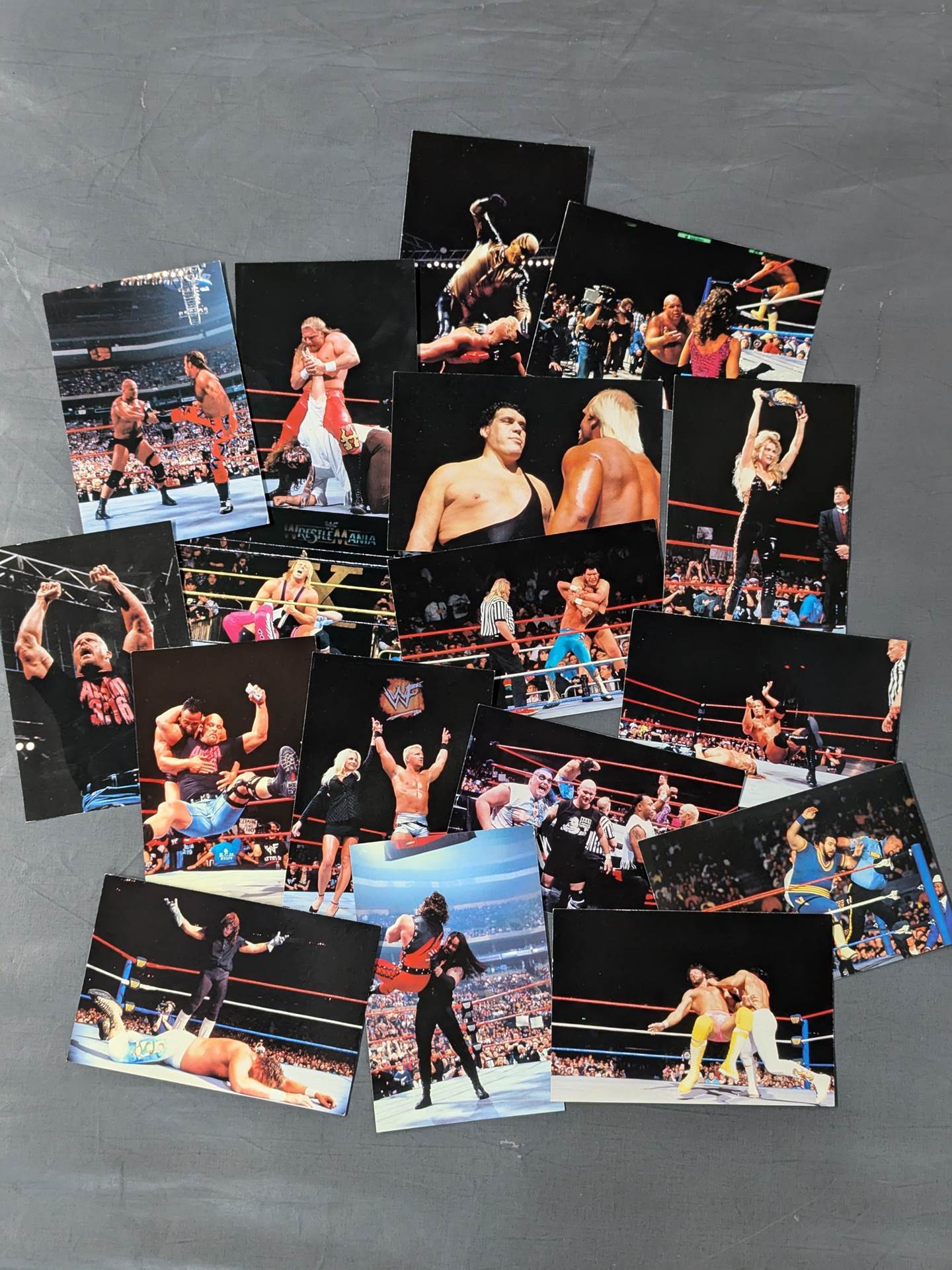 WWF ポストカードセット②