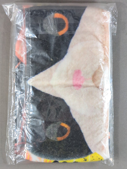 高橋ヒロム＆ダリル 仲良し2枚組ネックタオル