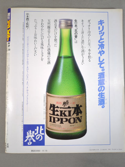 週刊ビッグレスラー10