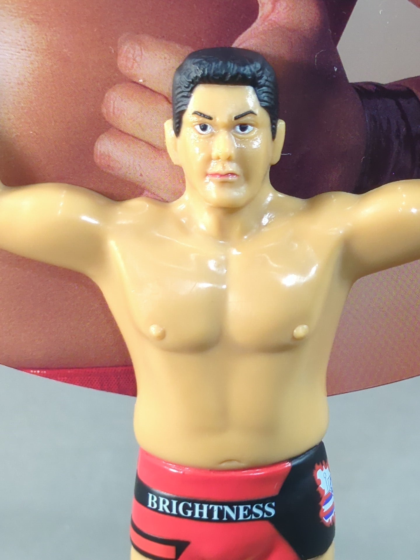 太陽ケア フィギュア うちわ