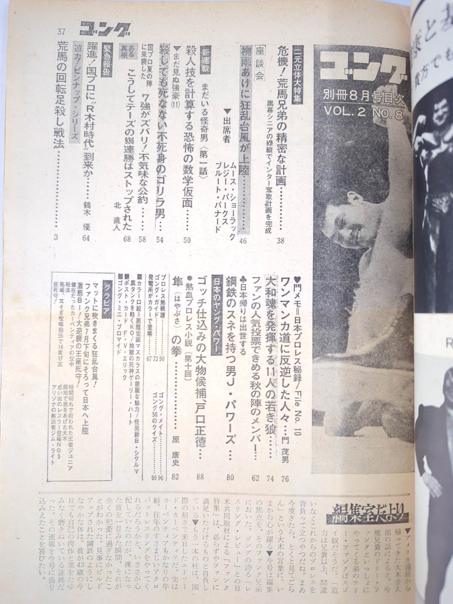 別冊ゴングVol.2 No.8