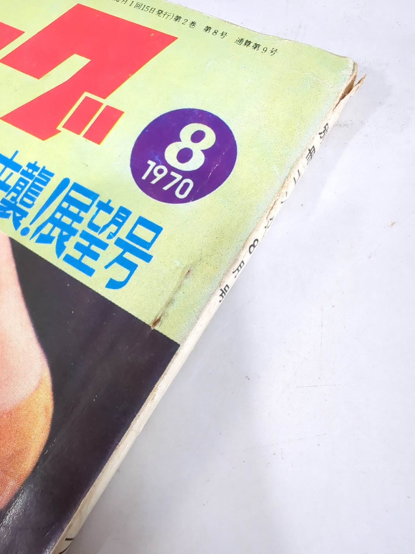 別冊ゴングVol.2 No.8