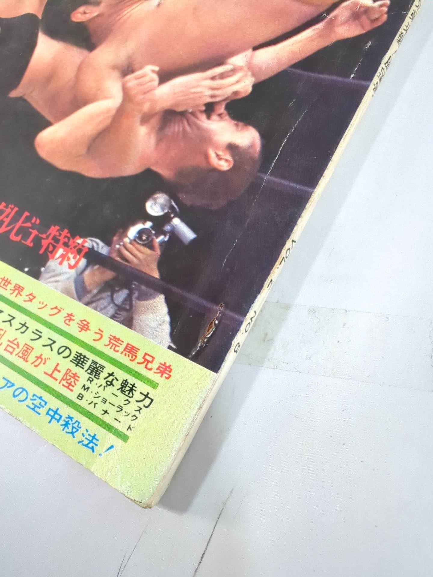 別冊ゴングVol.2 No.8