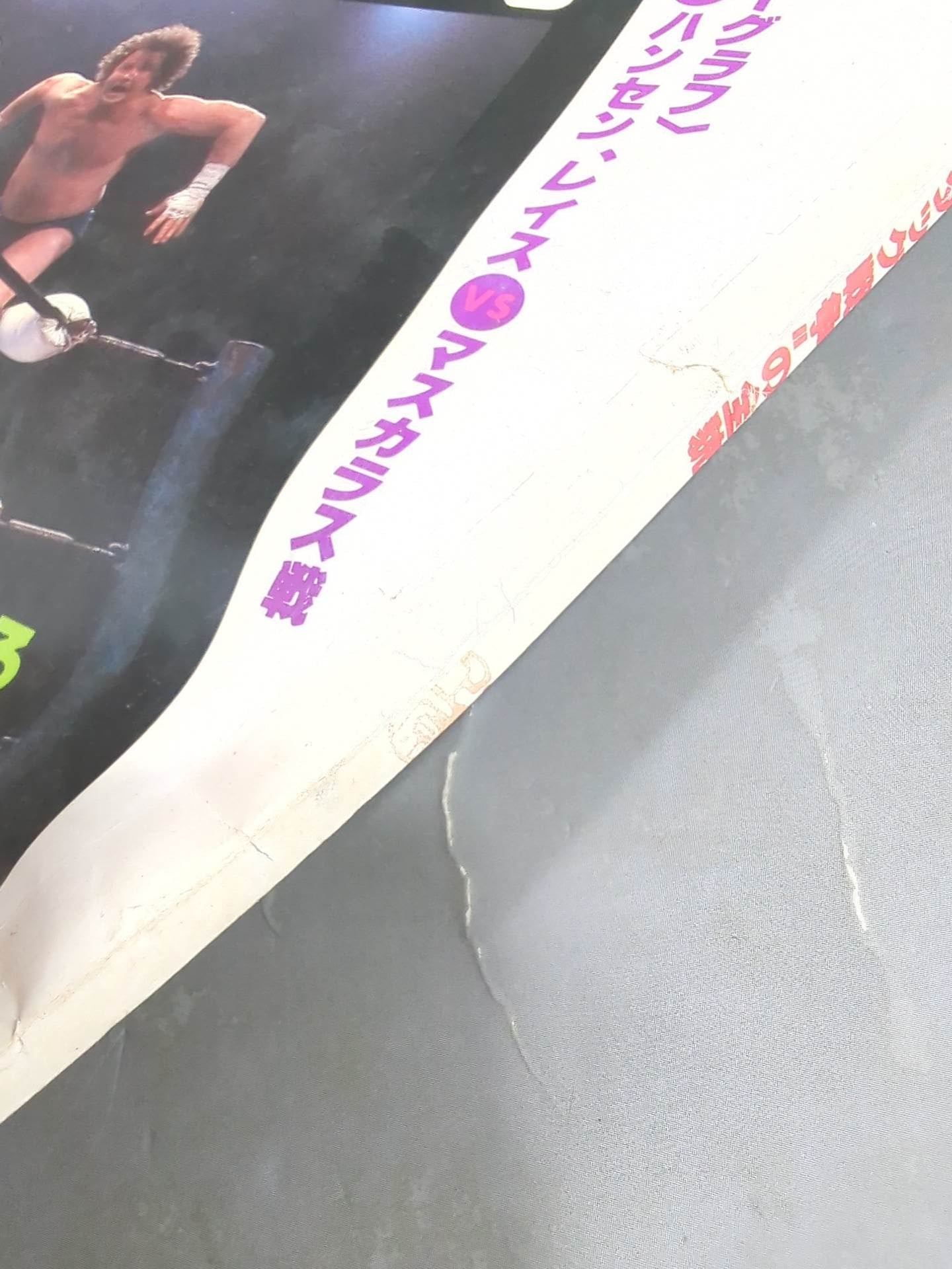 Deluxe Pro Wrestling  November 1980