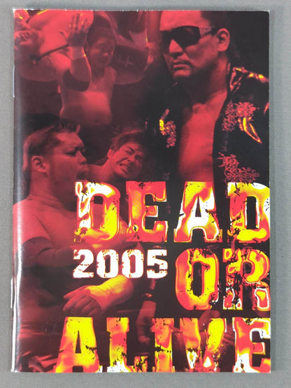 DEAD OR ALIVE 2005 Dream ☆ Win Postcard Set