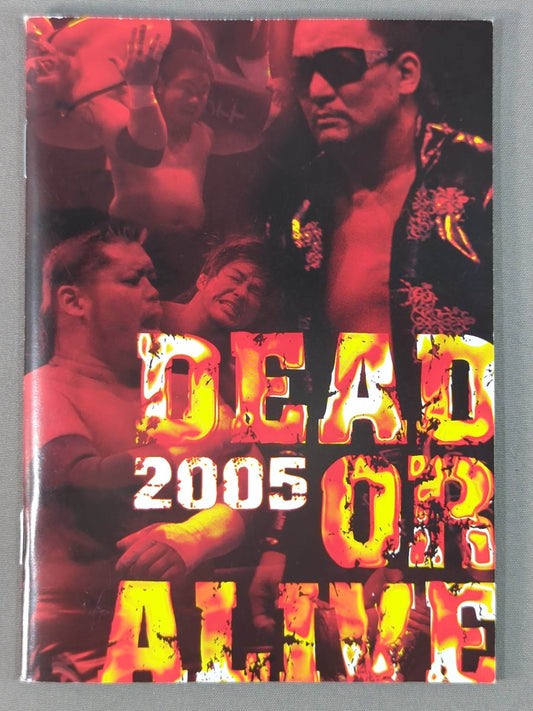 DEAD OR ALIVE 2005 Dream ☆ Win Postcard Set