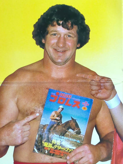 The Original Tiger Mask & Terry Funk Magazine Appendix Poster