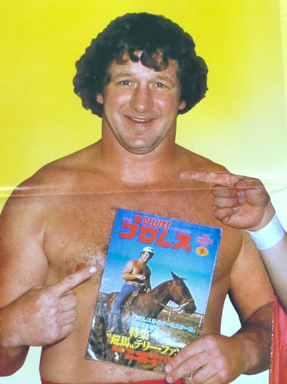 The Original Tiger Mask & Terry Funk Magazine Appendix Poster