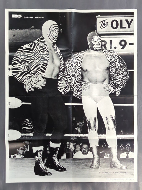 Mascaras Brothers Magazine Appendix Poster