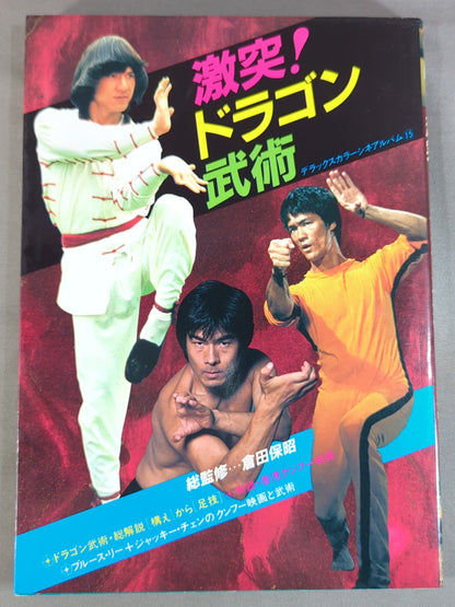 Clash! Dragon Martial Arts
