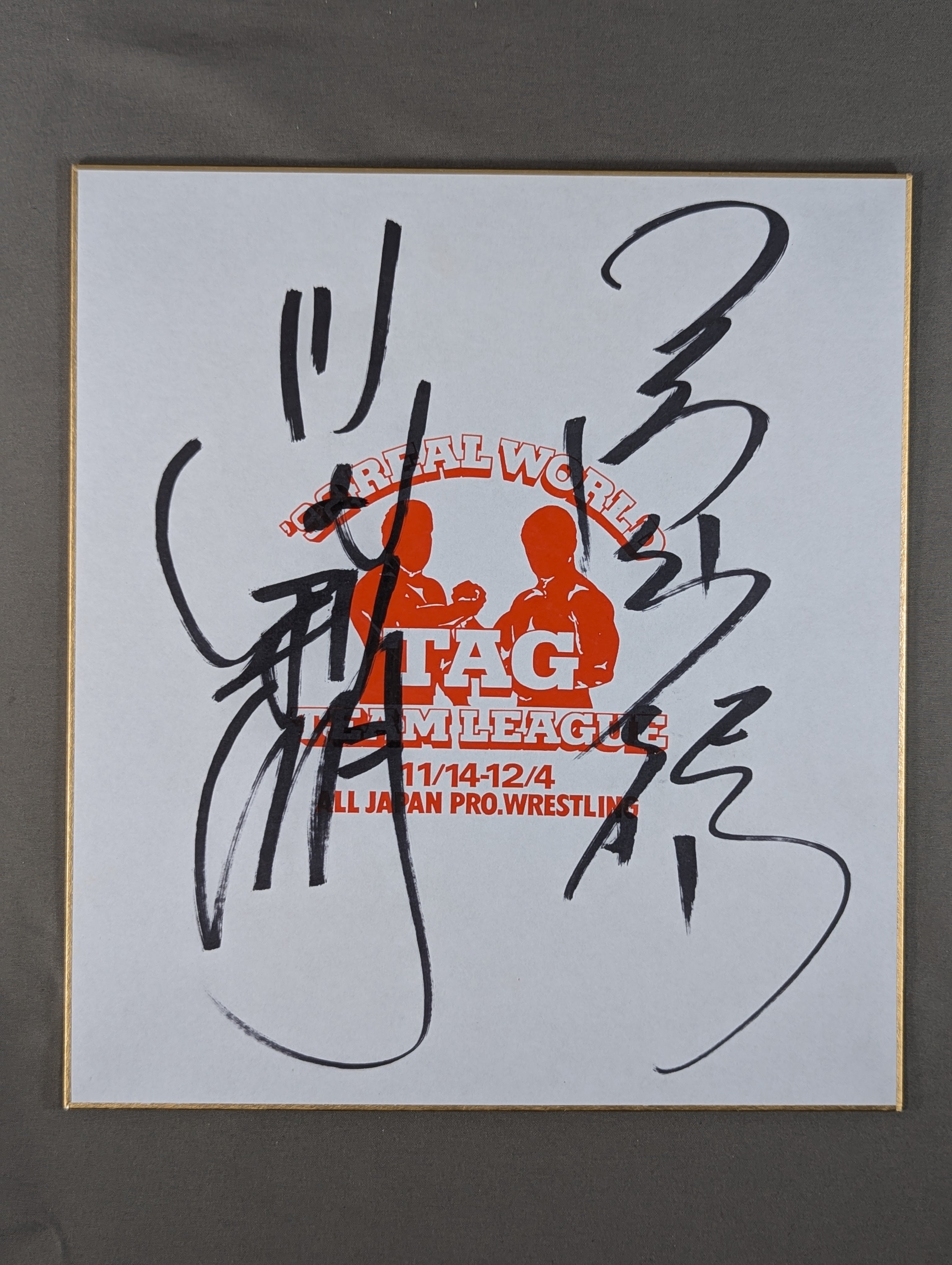希少! 三沢光晴&川田利明直筆サイン色紙 92世界最強タッグ 全日本プロレス 希少! 三沢光晴&川田利明直筆サイン色紙 92世界最強タッグ