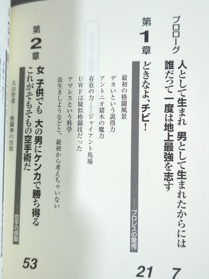 板垣恵介の格闘士烈伝 (グラップラー列伝)