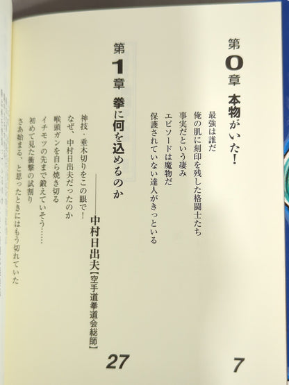 板垣恵介の激闘達人烈伝