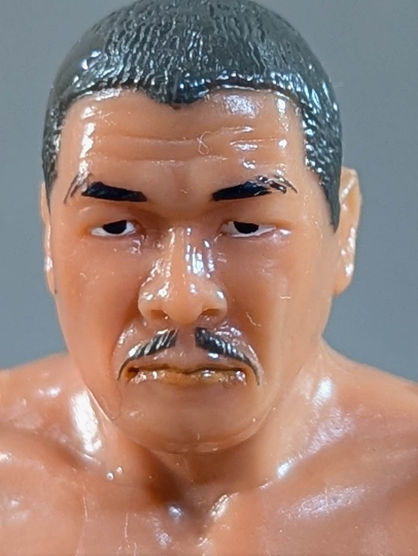 Yoshiaki Fujiwara  (Ring Shoes)