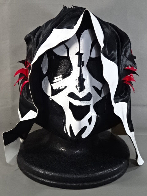 風香　DE VIVA MEXICO　DVD　ドラゴマニア　メキシコ　直筆サイン 6月3日 – 闘道館